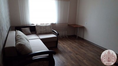 Сдам 1-комнатную квартиру на Петровского, автономное отопление